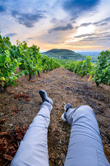 Wall Mural - Marcheur dans les vignes autour du Mont Brouilly, Beaujolais, France