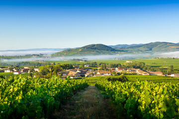 Wall Mural - Le Mont Brouilly, et les villages de Cercié et Morgon, Beaujolais, France