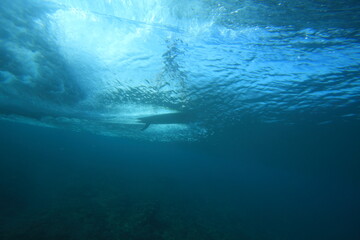 Wall Mural - surfer riding a wave viewed from underwater