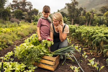 Wall Mural - Single mother harvesting fresh vegetables with her son