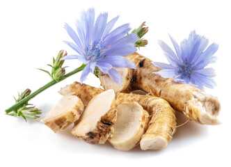 Wall Mural - Chicory flowers and roots close up on the white background.