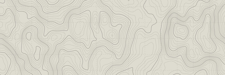 stylized topographic contour map. geographic line mountain relief. abstract lines or wavy backdrop b