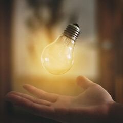 Sticker - a person holding a light bulb in their hand (Idea bulb)