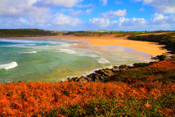 Canvas Print - Beautiful colourful autumn colours English beach and coast Crantock bay North Cornwall England UK