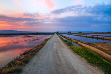 Gravel Road Through A Wetland At Sunset