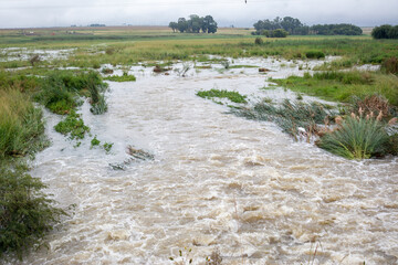 Wall Mural - Floods