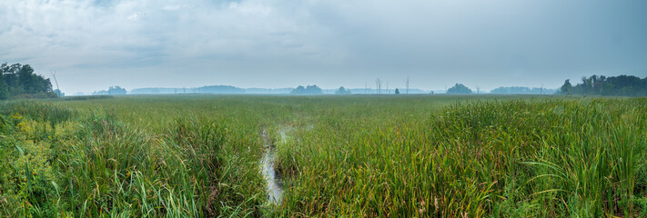 Wall Mural - A rainy foggy day on the prairie