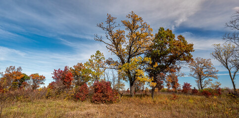 Wall Mural - Fall colors over the prairie under blue cloudy skys