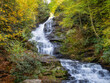 Fall color around Mud Creek Falls in Sky Valley in Rabun County Georgia  USA