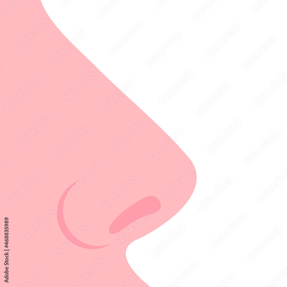 Nose, side view, close-up. Smooth nose with nostrils, fair skin, face ...