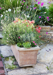 Poster - potted flowers