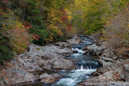 658-61 Little River Autumn