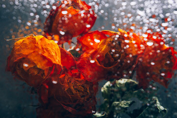 Wall Mural - Bunch of beautiful faded flowers through the glass with rain drops