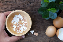 Group Of Broken Egg Shells On  Wooden Background. Recycling Kitchen Waste For Gardening. Egg Shells Is Applied To The Tree And Is A Natural Fertilizer.