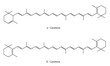 Molecular formula of Alpha Carotene