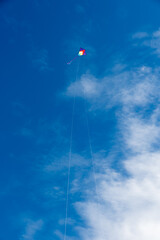 Wall Mural - colorful kites flying over the sky