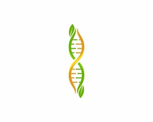 Wall Mural - DNA Helix with green leaf beside