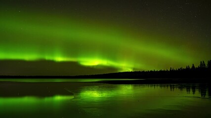 Wall Mural - swilling aurora reflect in a partially frozen lake. the colors are mostly green and include dramatic
