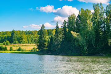 Wall Mural - the blue sky and forest are reflected in the river on a summer day.