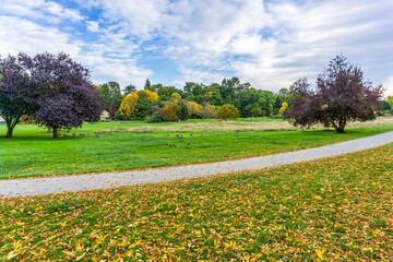 Wall Mural - Geese In Autumn Landscape