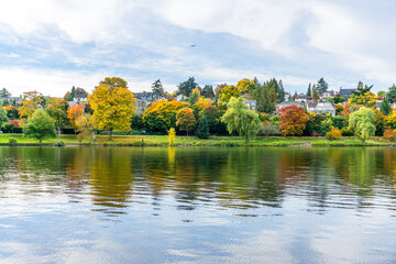 Wall Mural - Lake Autumn Shoreline Homes. 4