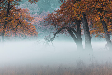 Canvas Print - Yosemite in the fall 