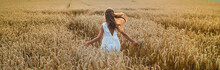 A Child In A Wheat Field. Selective Focus.