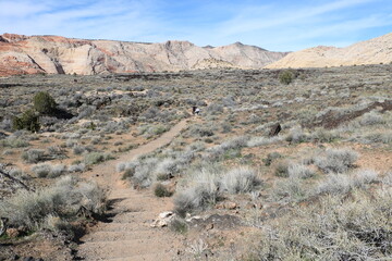 Wall Mural - White Rocks Trail, Snow Canyon State Park, Utah