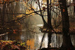 Jesienna rzeka