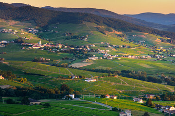 Wall Mural - Morning lights and colors over village of Beaujolais, France