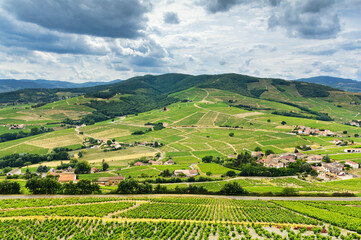 Wall Mural - Mountains and vineyards of Beaujolais, France