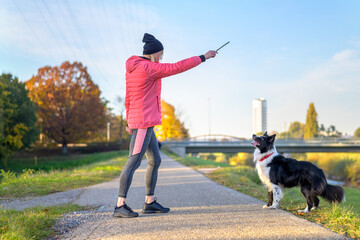 Woman playing fetch with her Border Collie throwing a stick