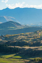  ニュージーランド　オタゴ地方のアロータウン・ジャンクションの展望台からの風景と紅葉