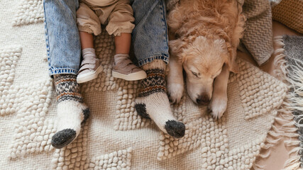 Woman or man and baby legs and cute golden retriever dog on carpet. Family relax time. Winter Christmas holidays and hygge concept.  Atmospheric moments lifestyle.