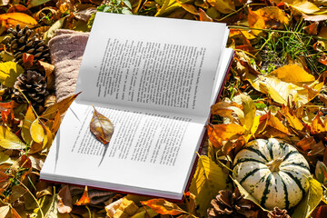 Poster - Opened book, pumpkin and autumn leaves in park