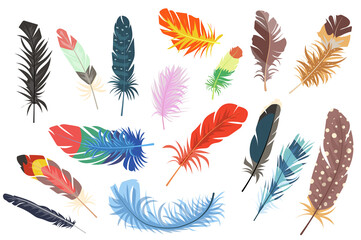 Wall Mural - feathers isolated elements set. bundle of different types of colorful bright bird feathers from wing