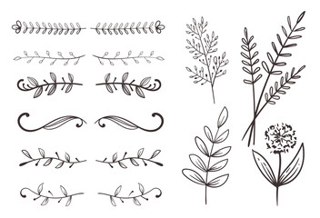 Floral nature plant leafes sketch design element vector collection