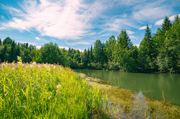 Wall Mural - Summer panoramic landscape view from a hill, trees on a wide green meadow, a winding river and a forest in the distance.