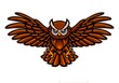 Cartoon angry owl mascot flying