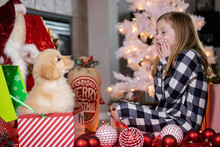 Young Child Surprised With A Golden Retriever Puppy Dog Present Under The Tree On Christmas Morning. 