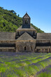 Abbaye de Senanque et champs de lavandes, France