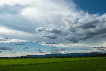 Wall Mural - The white clouds have a strange shape and moutain.The sky and the open space have mountains below.Clouds floating above the mountains.