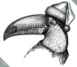 black and white engrave isolated toucan illustration