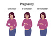 Pregnancy stages. Pregnant woman standing, smiling and touching belly in different trimester periods. Body changes, belly grows. Vector infographics