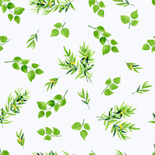 Watercolor Green Branches On A White Background. Seamless Pattern.