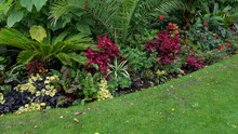 Tropical Flowerbed In Winter With Palms And Assorted Red And Green Plants