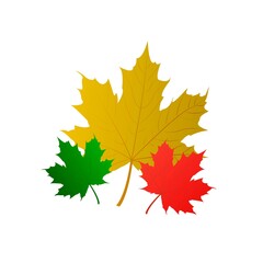 Wall Mural - Autumn leaves. Set of vector maple leaves in different colors and sizes.