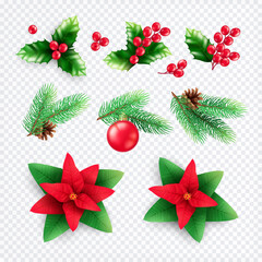 Canvas Print - Christmas Floral Decorations Set