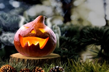 Wall Mural - Smiling Halloween pumpkin on a stump in front of twilight pine forest background.