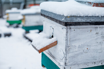 old hive entrance in winter. Colorful hives on apiary in winter stand in snow among snow-covered trees. Hives on apiary in December in Europe. old apiary of multi-hull hives.